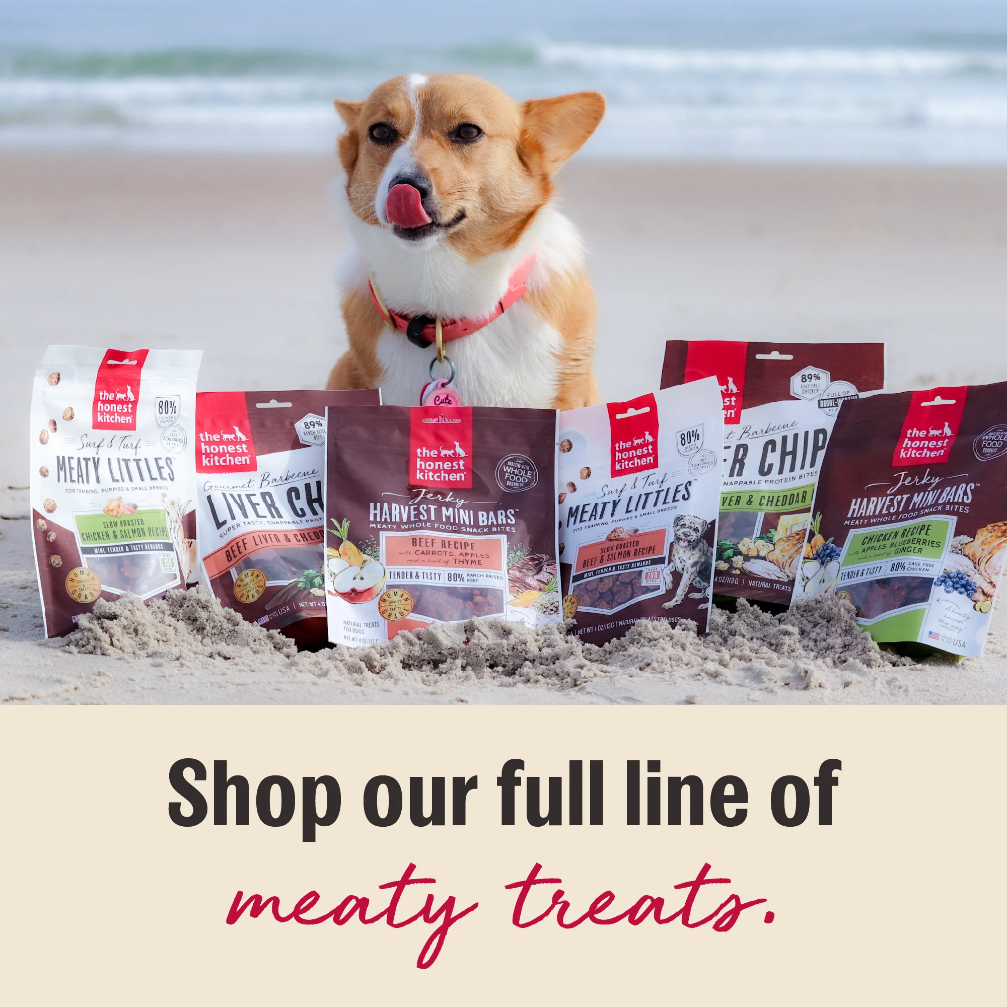 Slow Cooked Beef Jerky Chews - Image 5