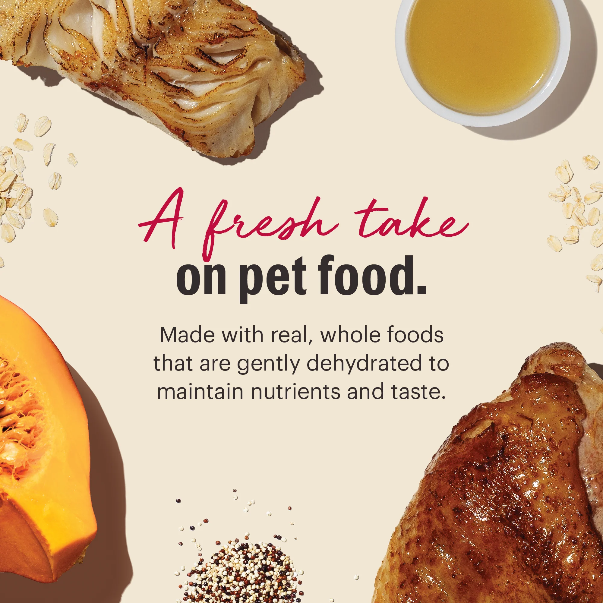 Wholemade Whole Grain Turkey & White Fish Dog Food - Image 3