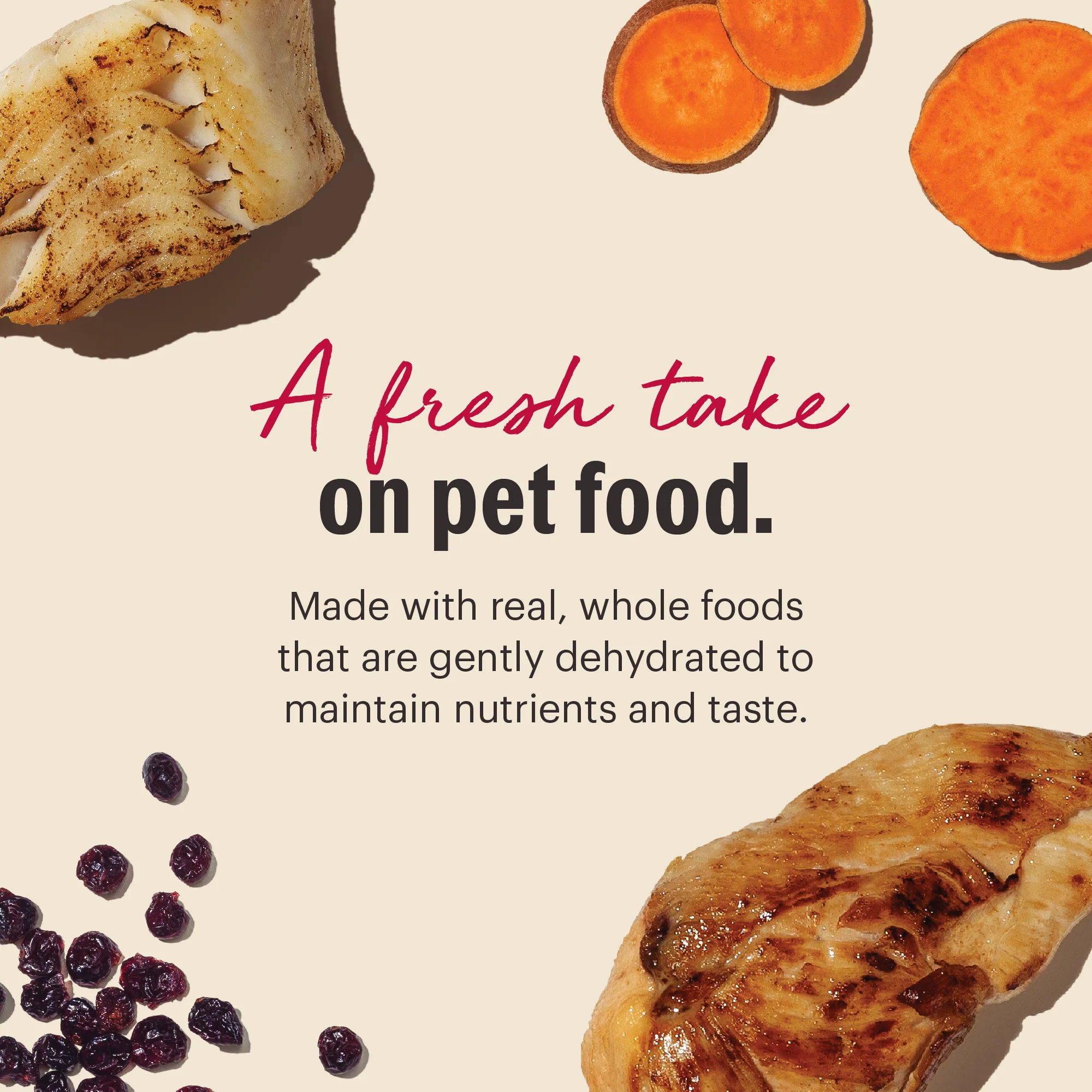 Dehydrated Grain Free Chicken & Fish - Image 3