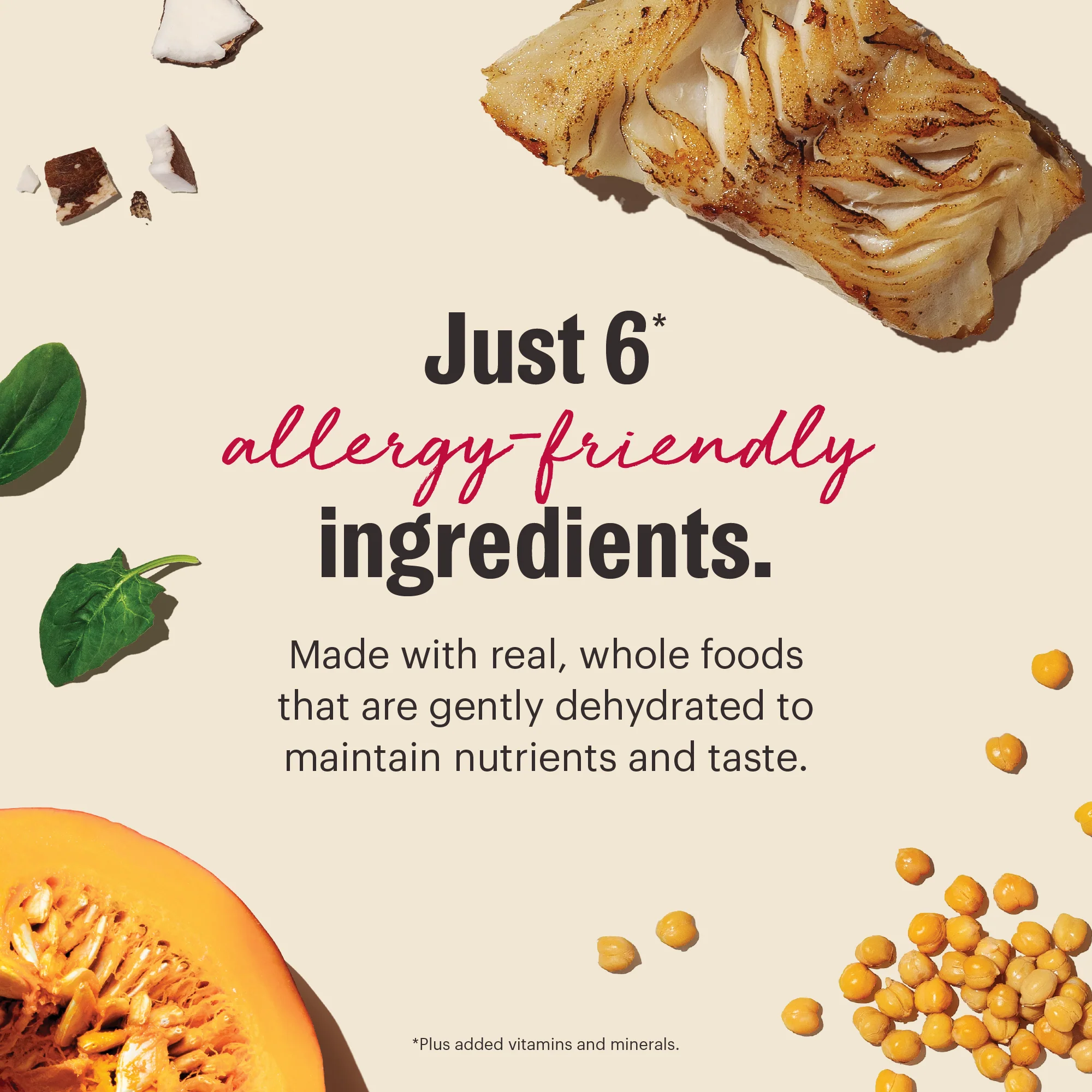 Wholemade Limited Ingredient Fish - Image 4