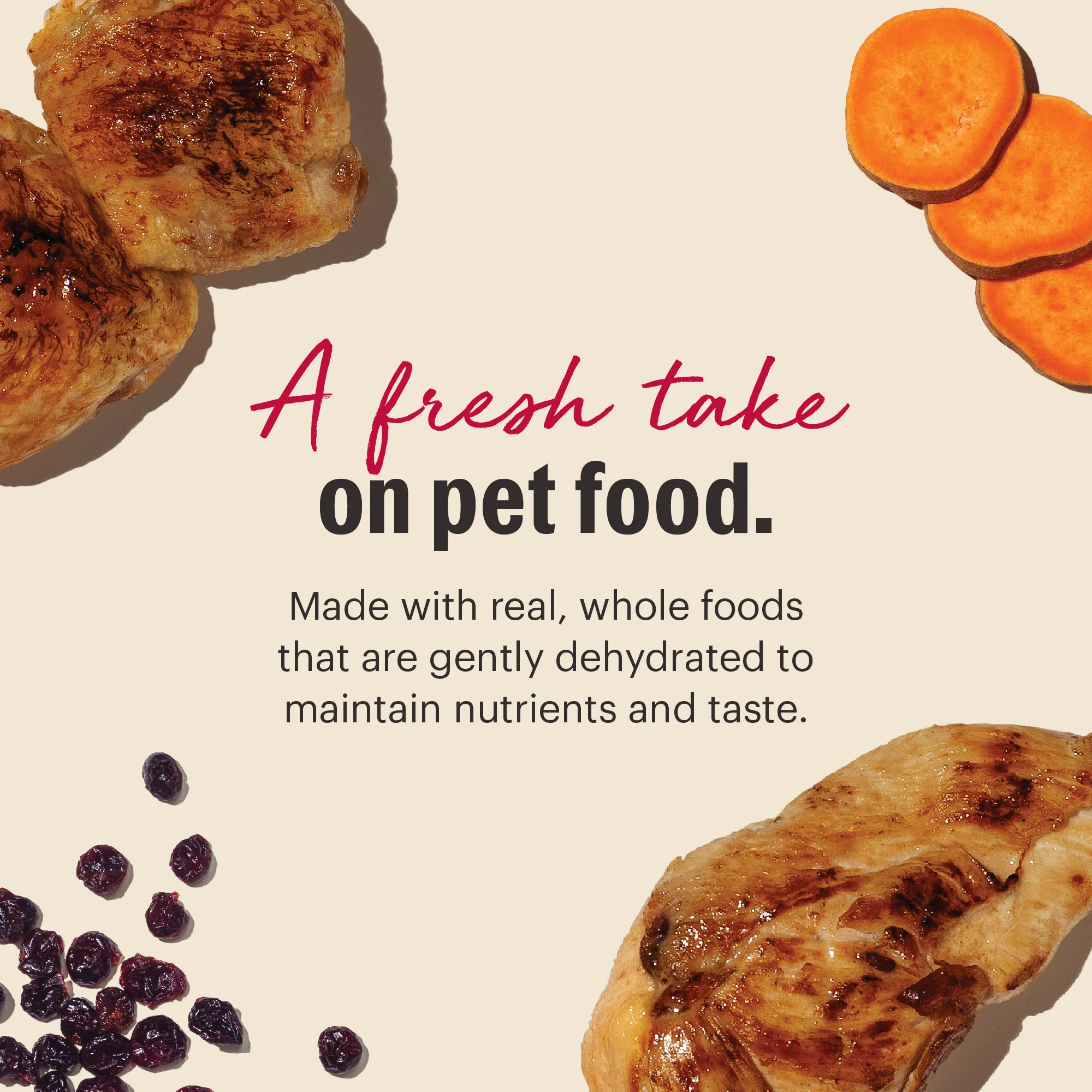 Grain Free Chicken Dehydrated Cat Food - Image 3