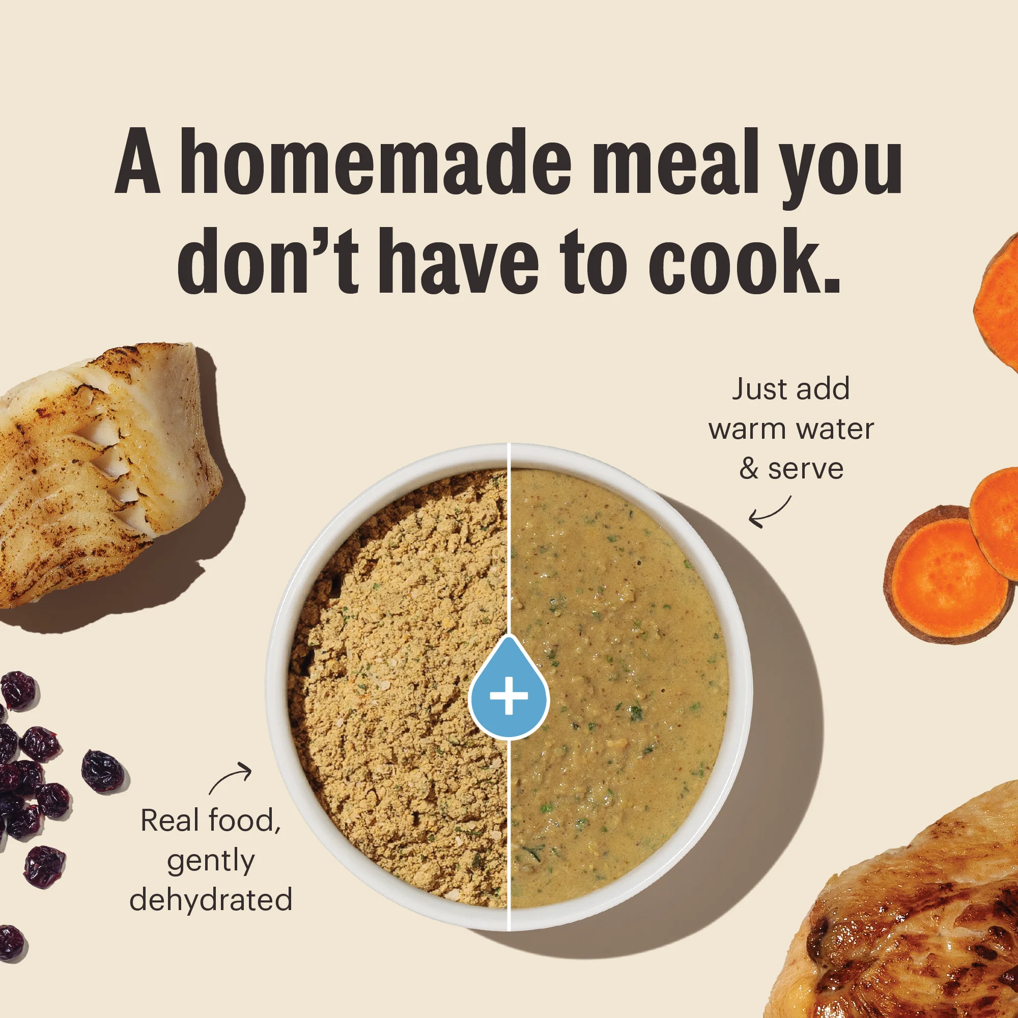 Grain Free Chicken Dehydrated Cat Food - Image 4