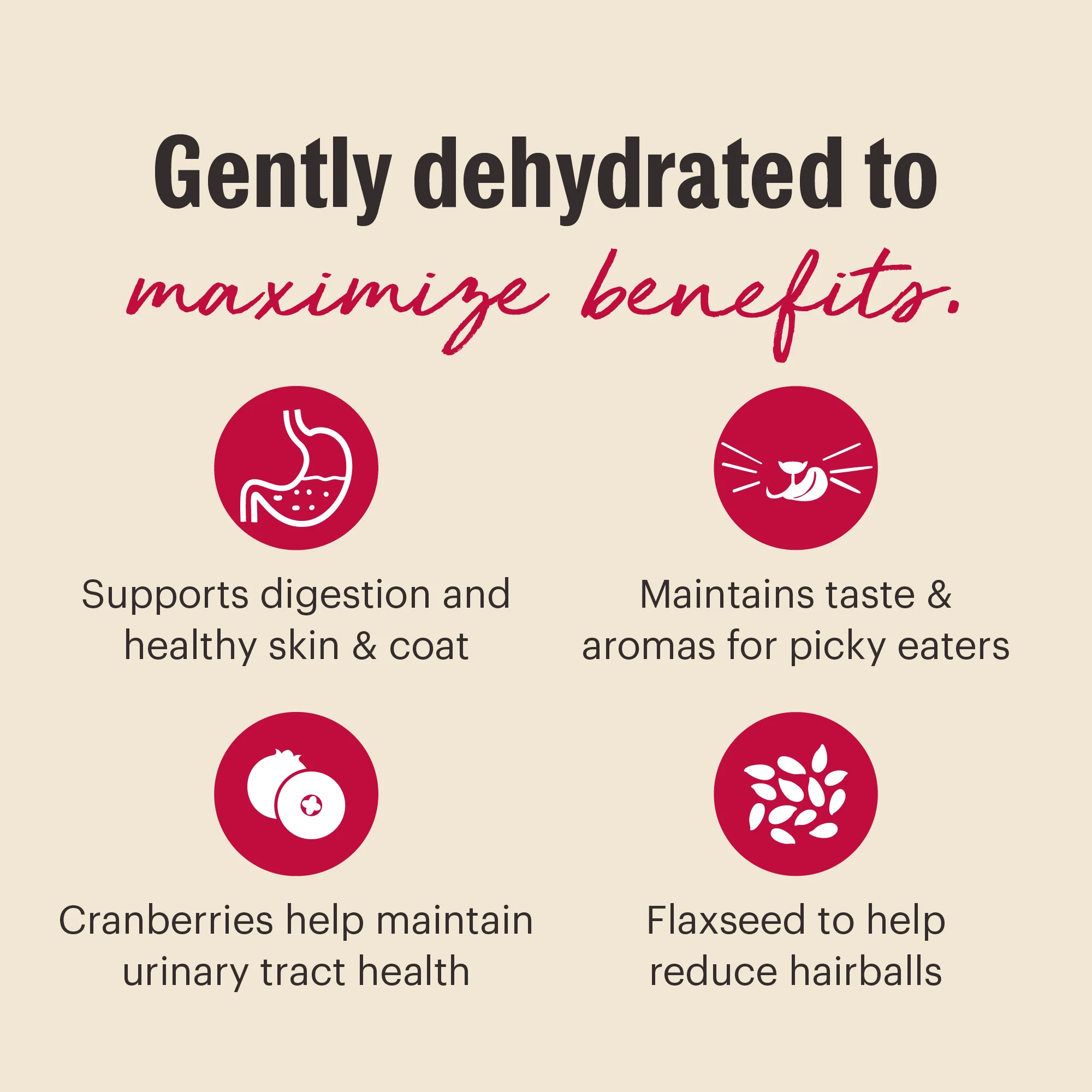 Grain Free Chicken Dehydrated Cat Food - Image 5