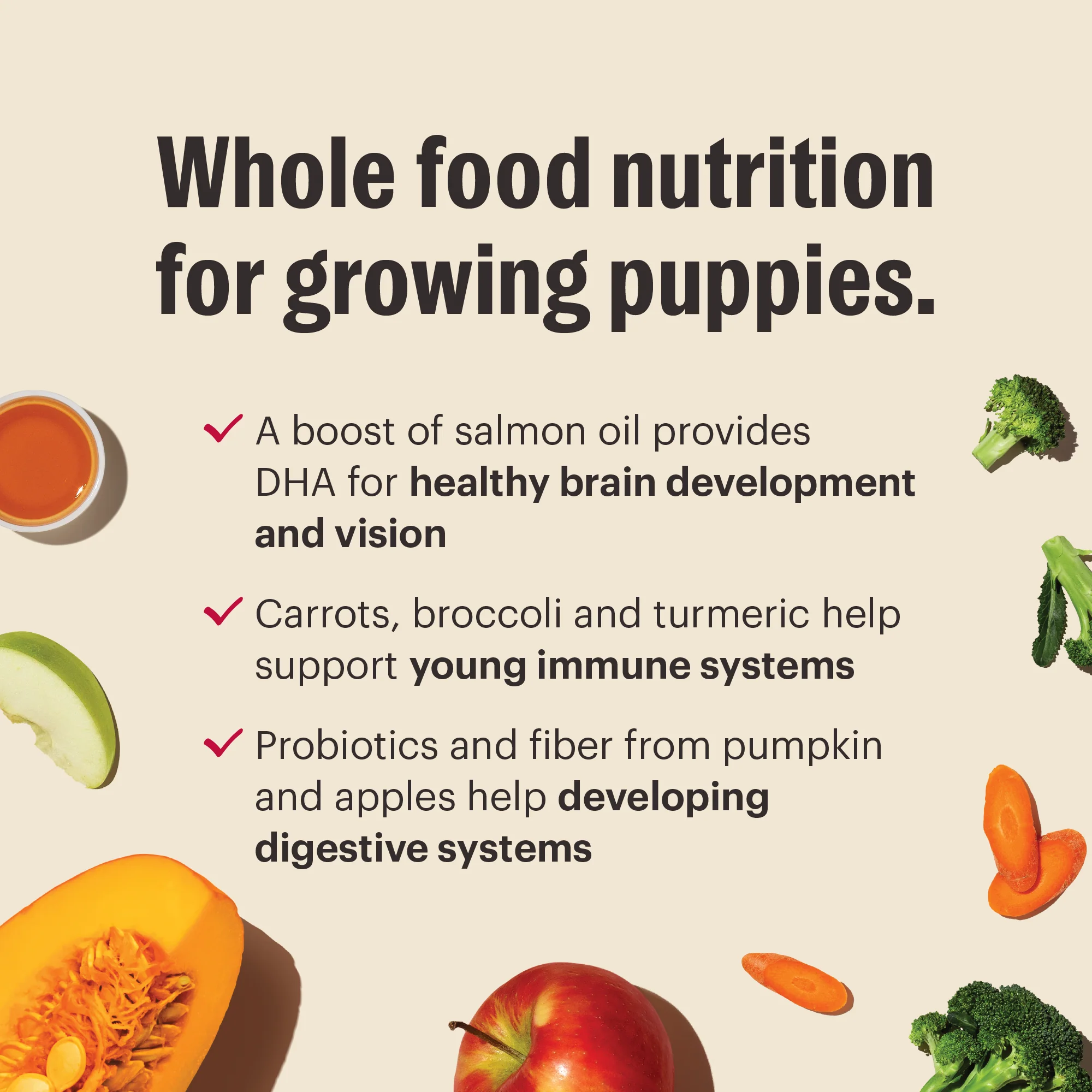 Grain Free Chicken Whole Food Clusters for Puppies - Image 5