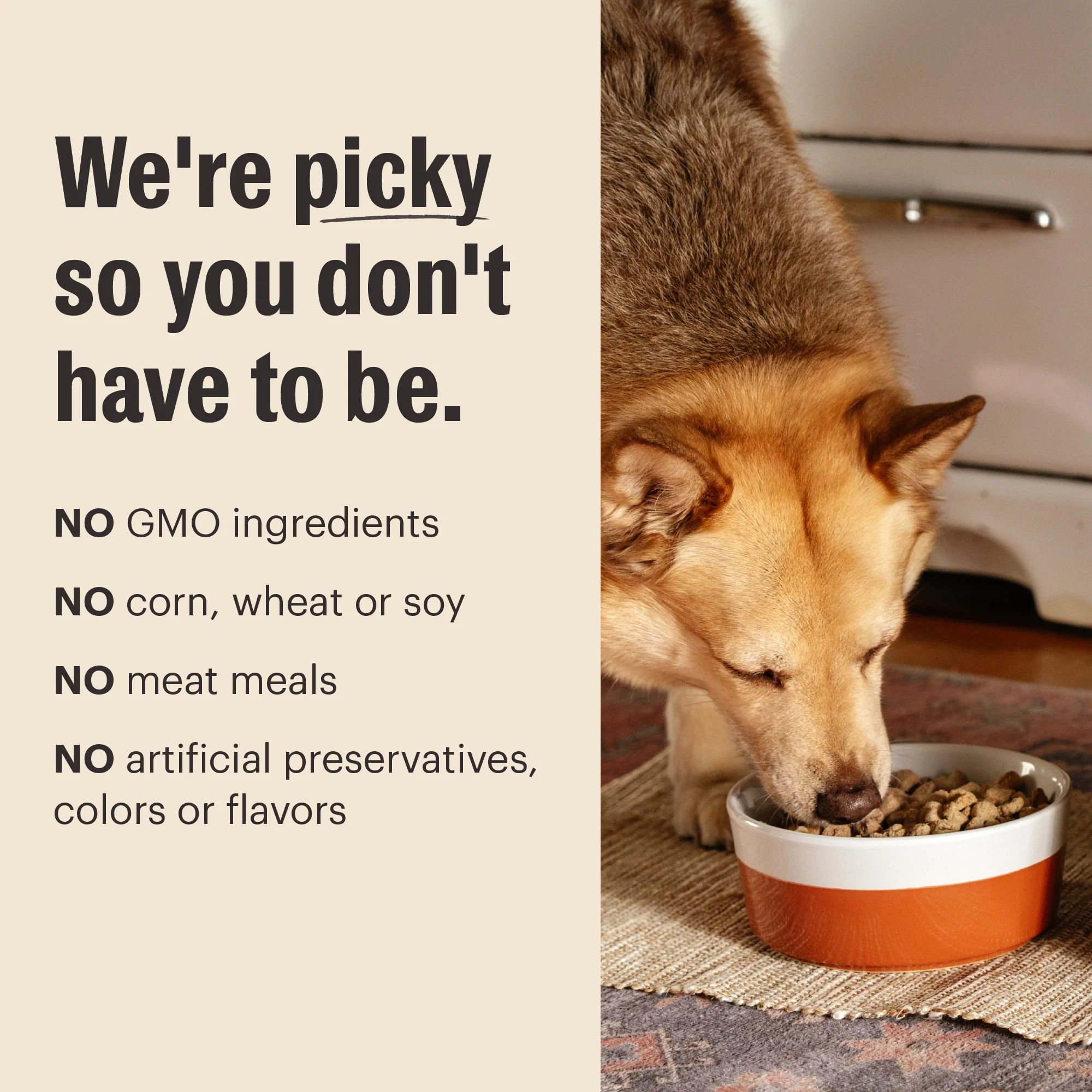 Grain Free Chicken Protein Plus Clusters - Image 5
