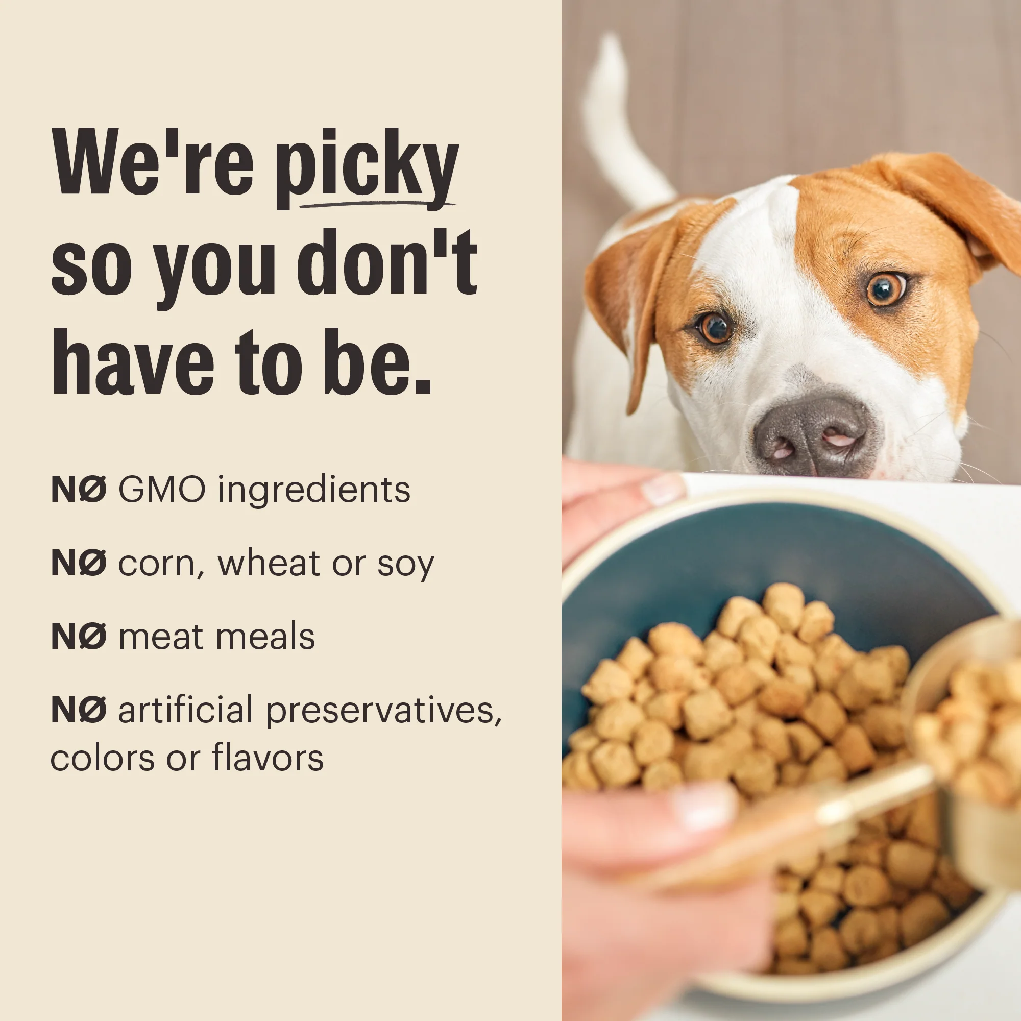 Grain Free Lamb Whole Food Clusters - Image 5