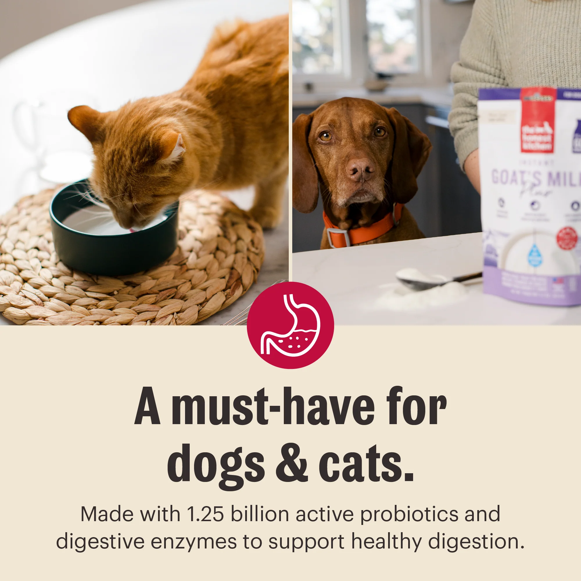 Instant Goat's Milk Plus - Image 5