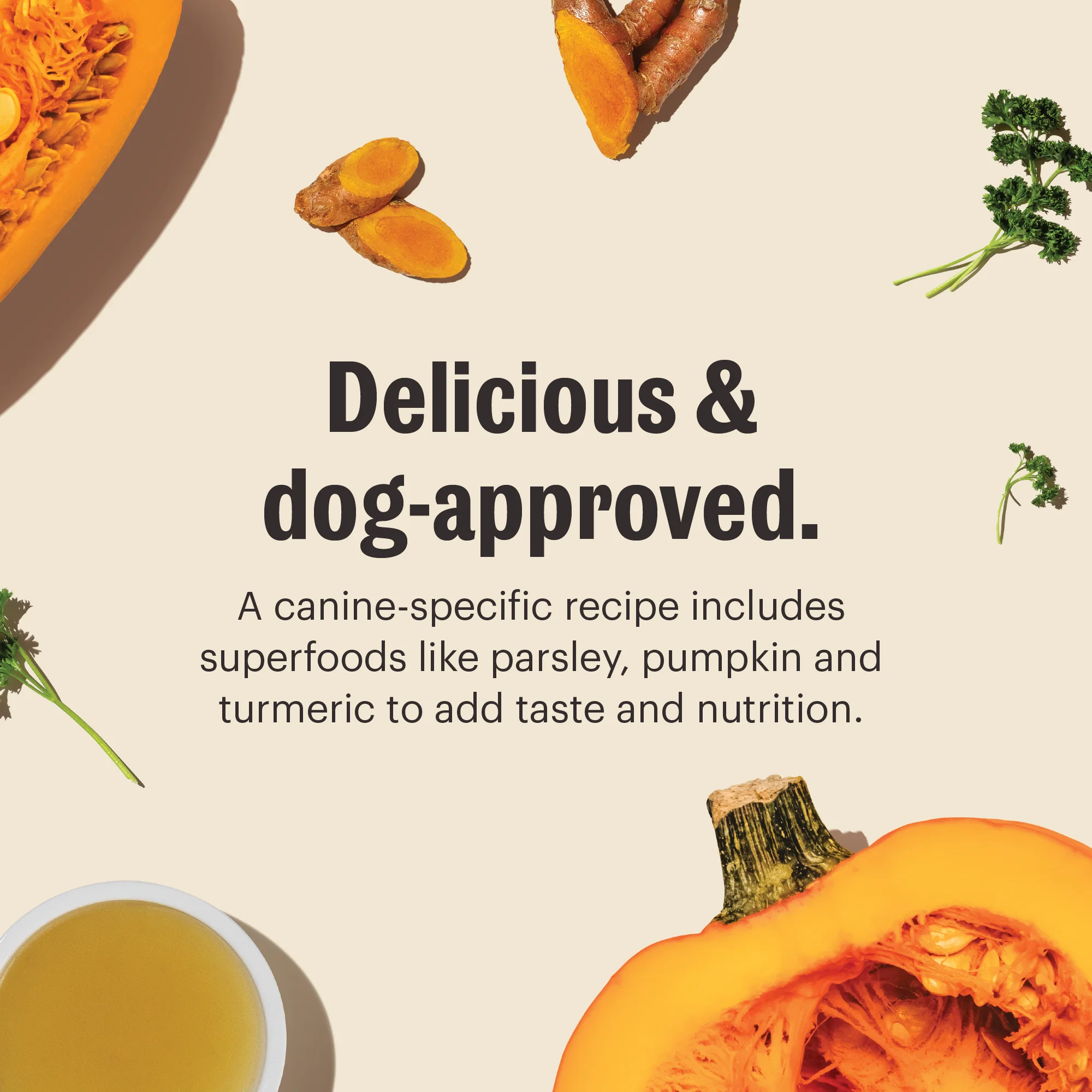 Instant Beef Bone Broth with Turmeric - Image 5