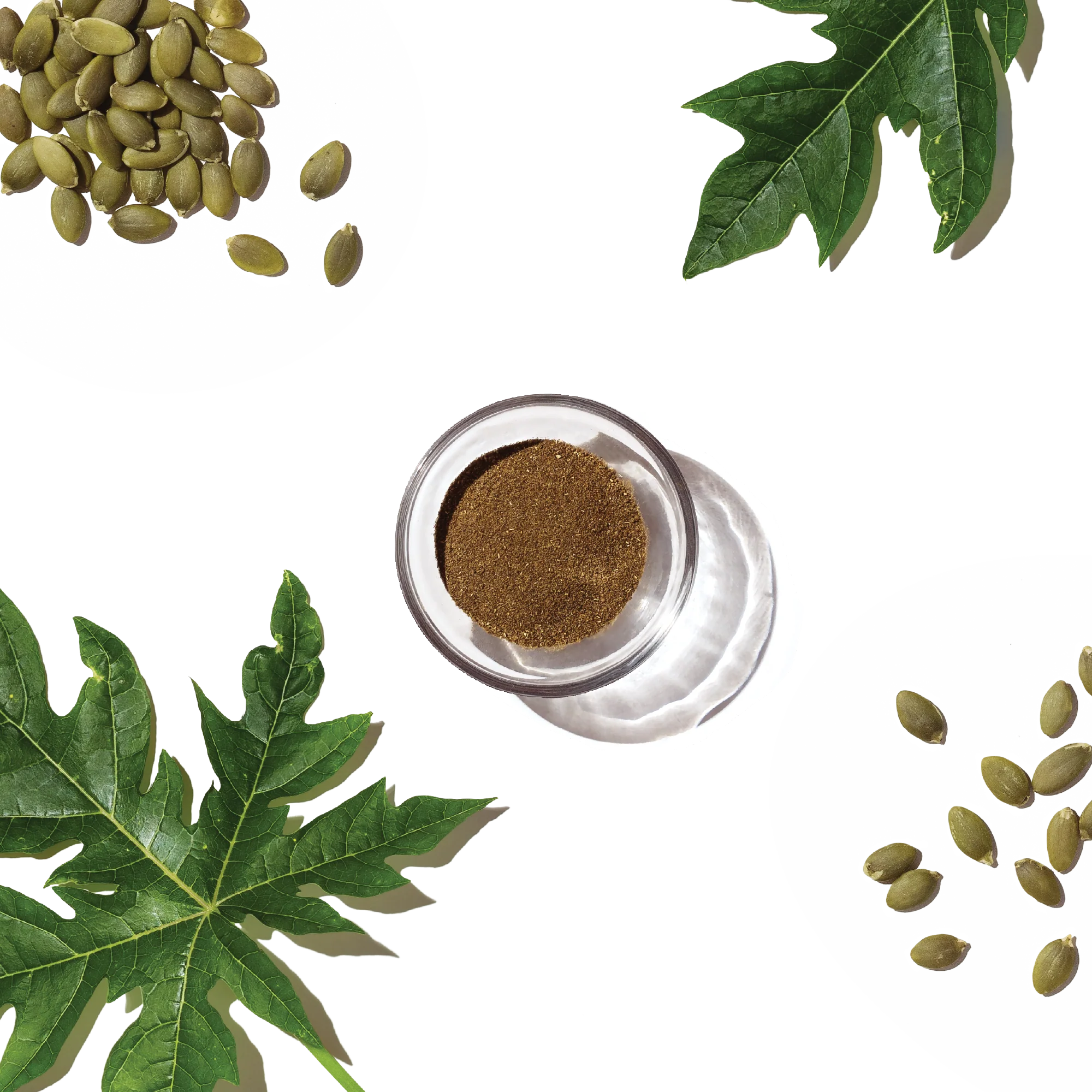 Perfect Form Herbal Digestive Supplement - Image 7