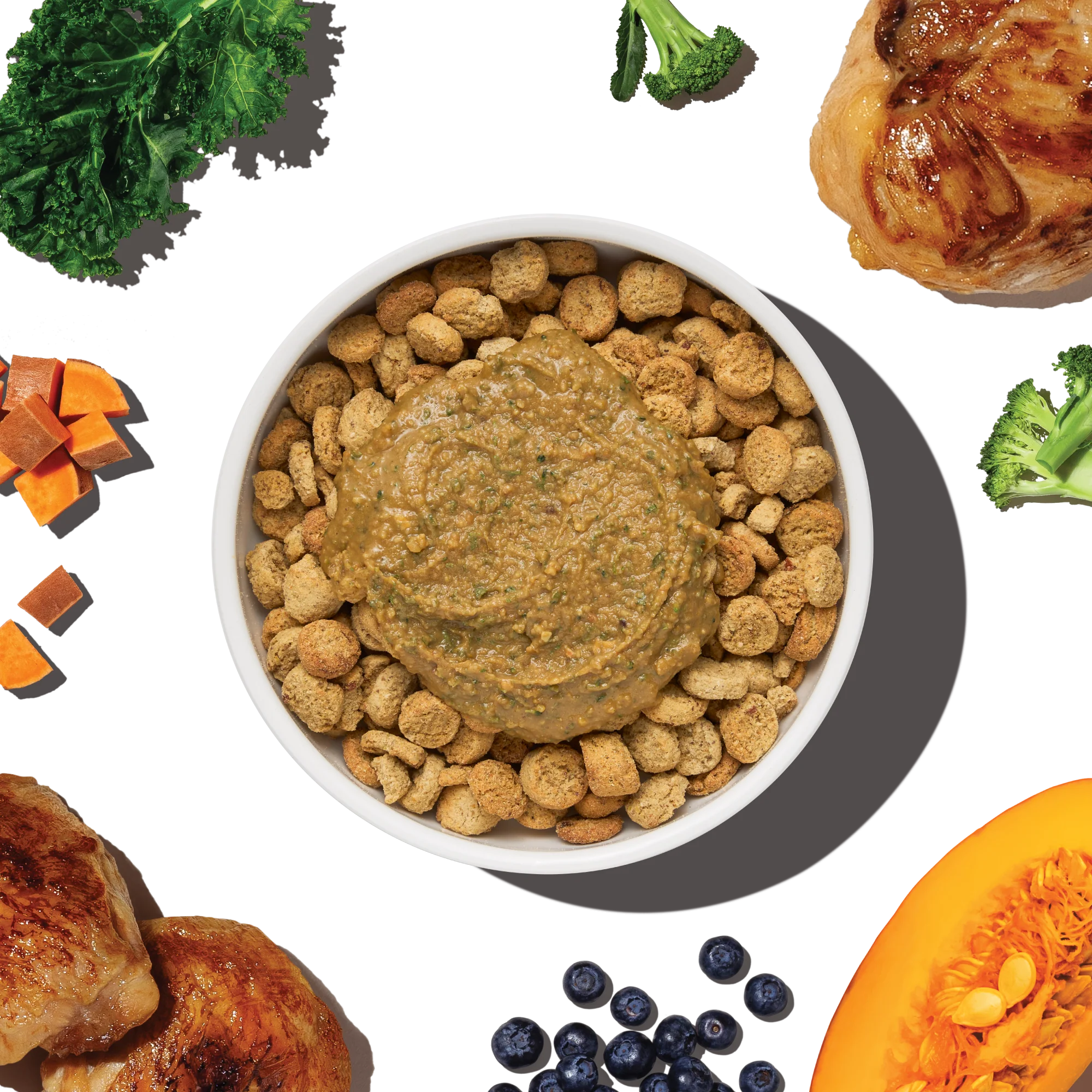 Protein Plus Grain Free Chicken with Superfoods - Image 7