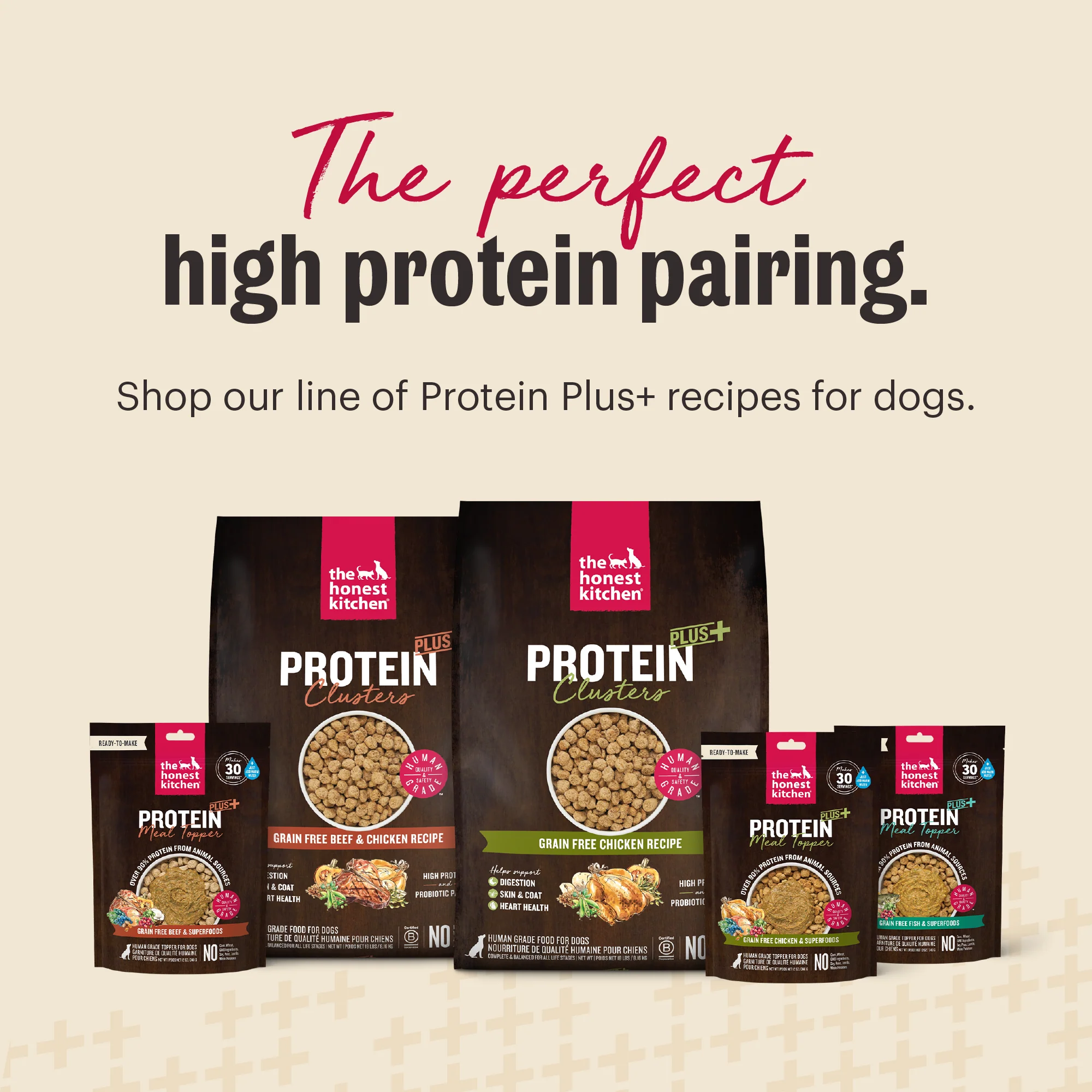 Protein Plus Grain Free Chicken with Superfoods - Image 4