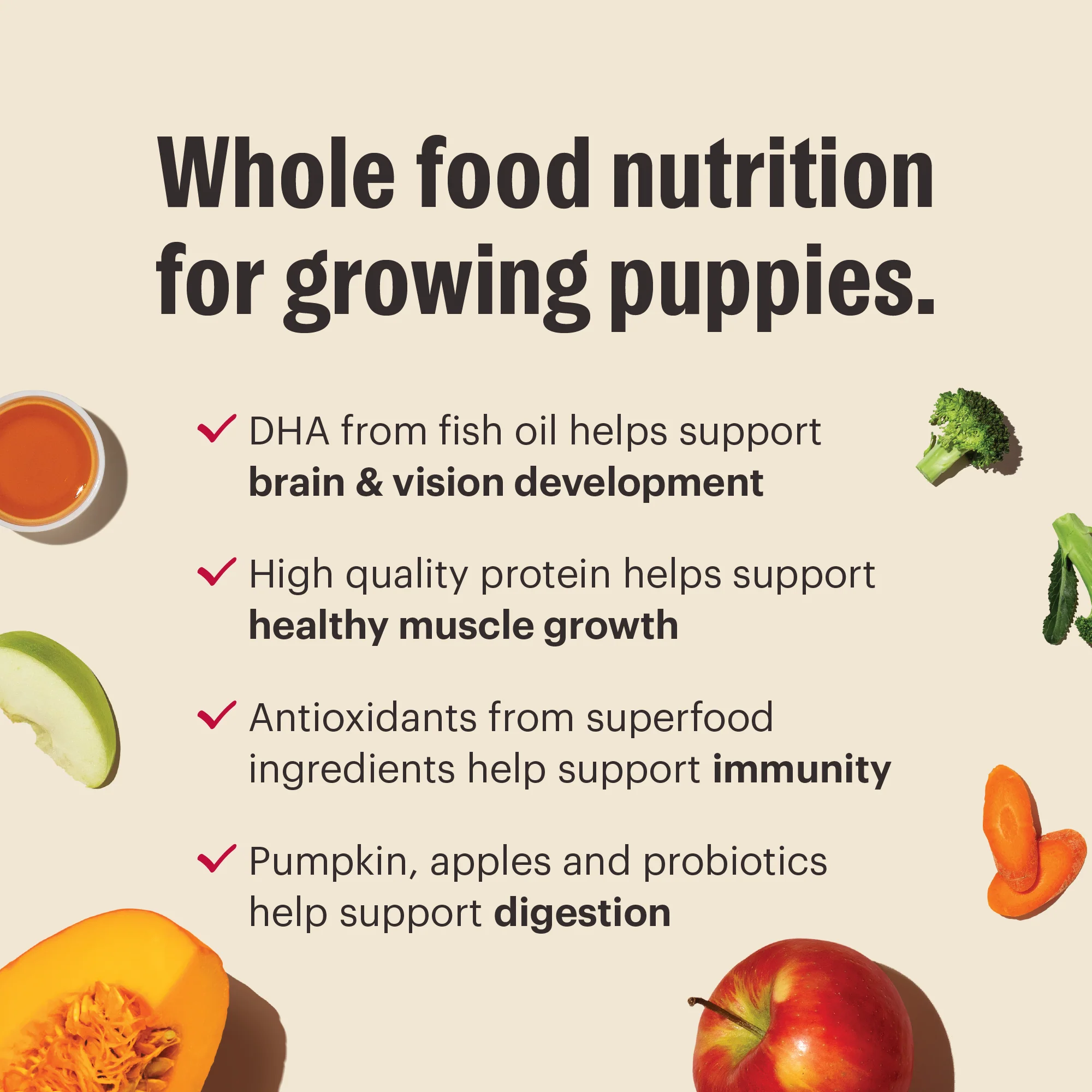 Whole Grain Chicken Whole Food Clusters for Puppies - Image 5