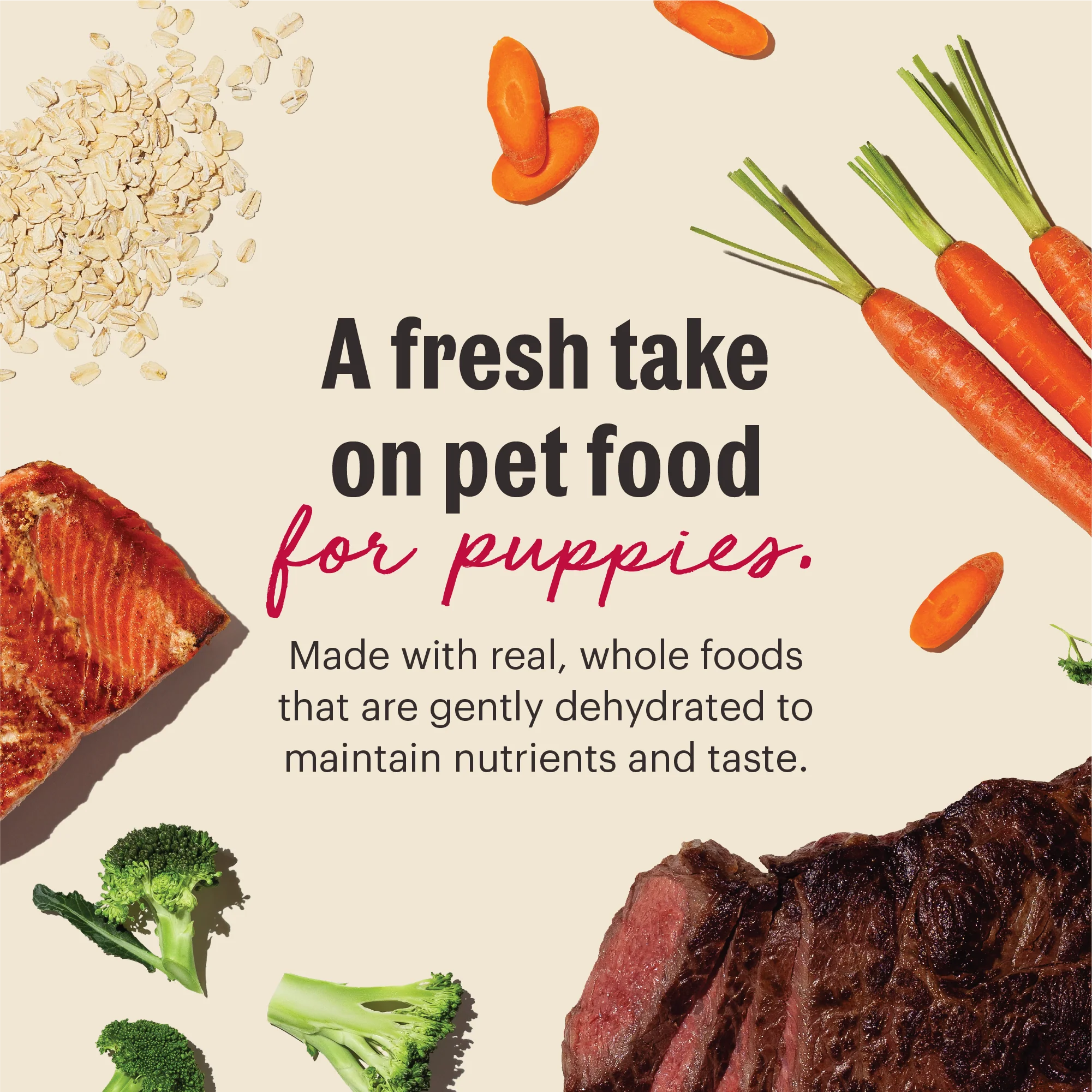Wholemade Whole Grain Beef & Salmon Dehydrated Puppy Dog Food - Image 2