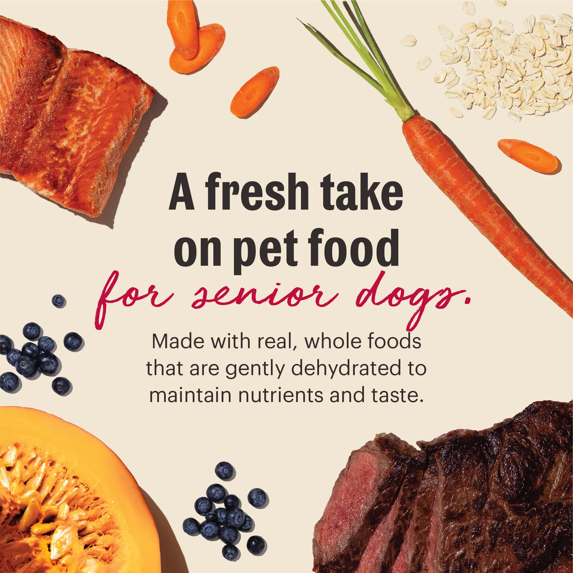 Wholemade Whole Grain Beef, Oat & Salmon Dehydrated Senior Dog Food - Image 2