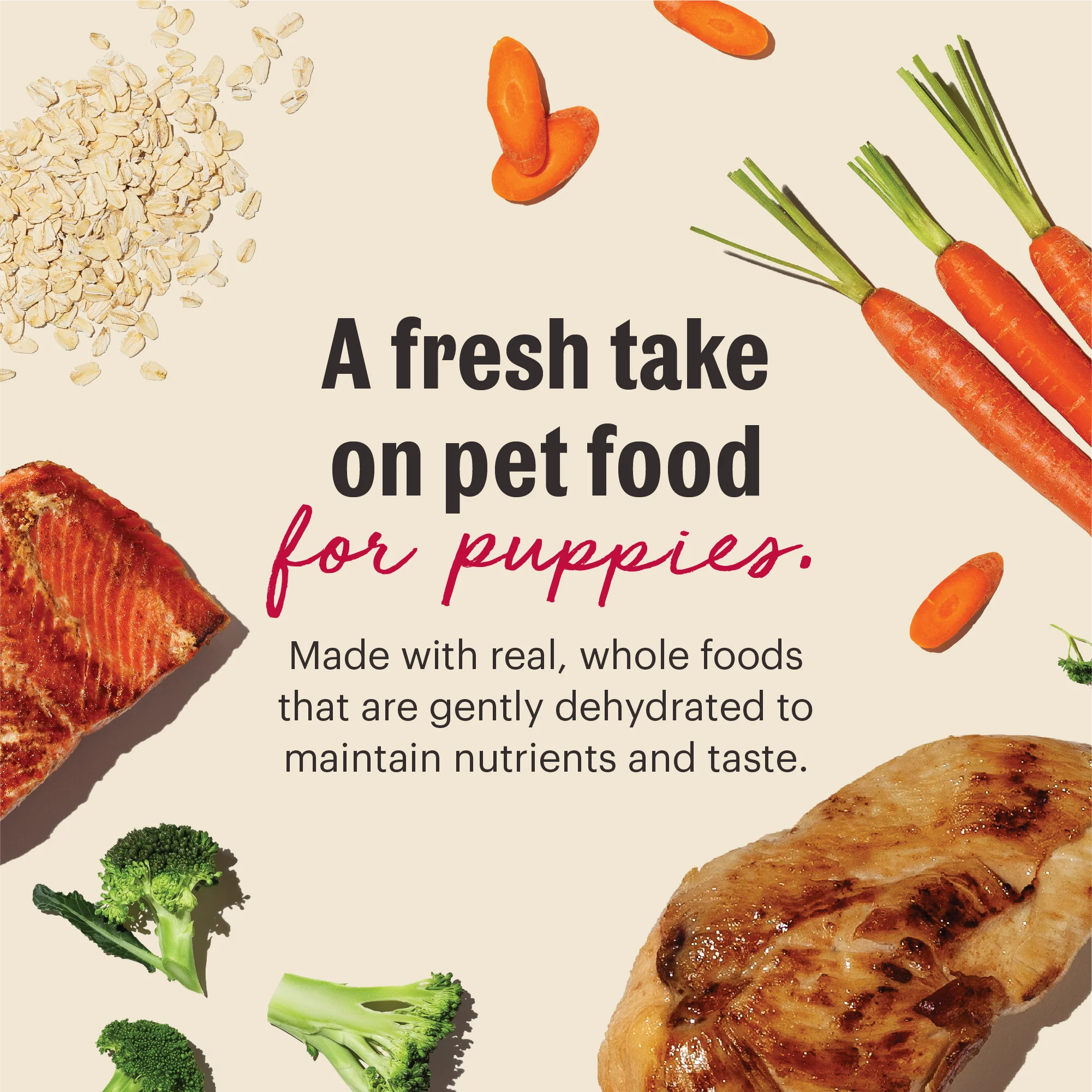 Wholemade Whole Grain Chicken & Salmon Dehydrated Puppy Dog Food - Image 2