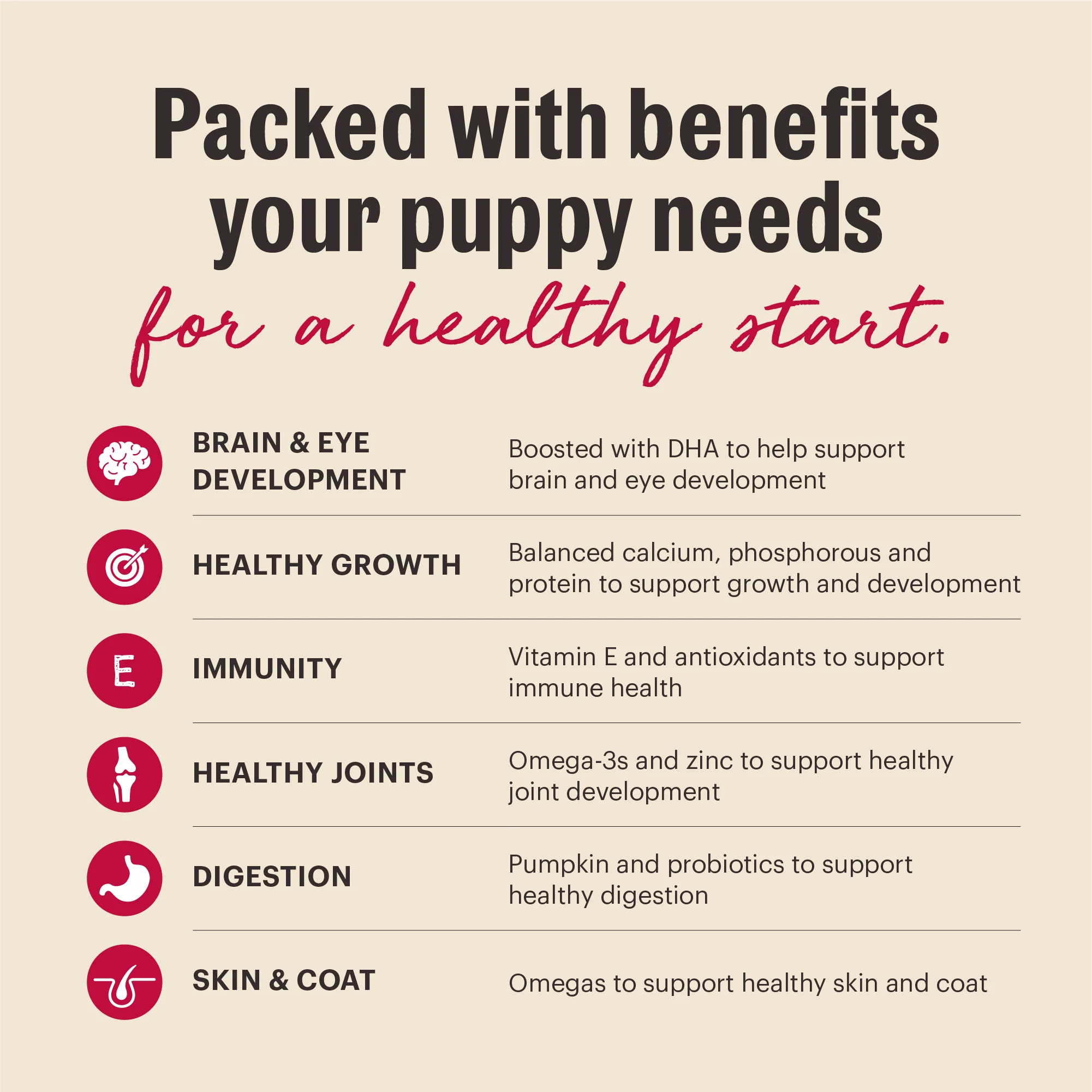 Wholemade Whole Grain Beef & Salmon Dehydrated Puppy Dog Food - Image 4