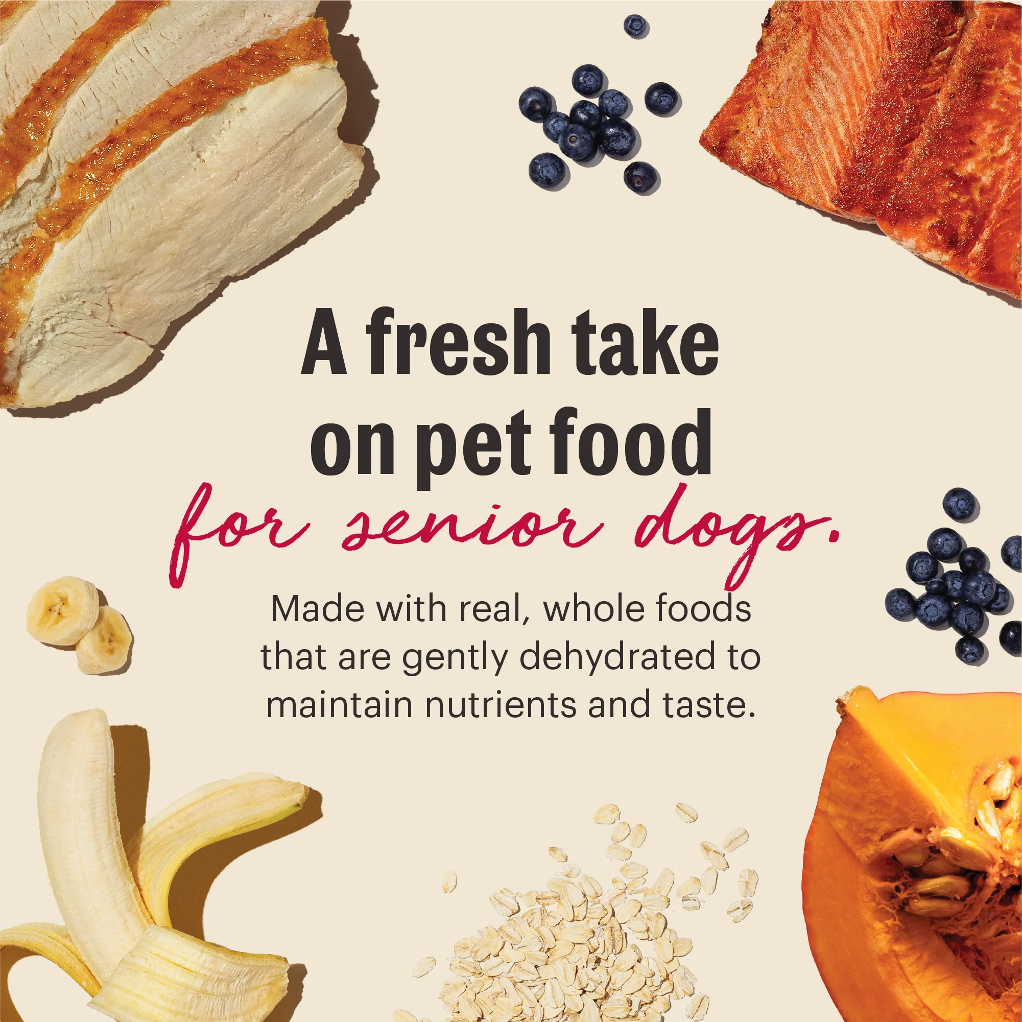 Wholemade Whole Grain Chicken, Oat & Salmon Dehydrated Senior Dog Food - Image 2